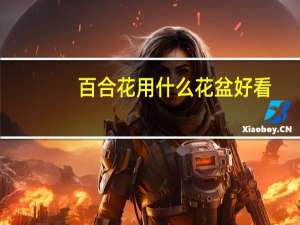 百合花用什么花盆好看