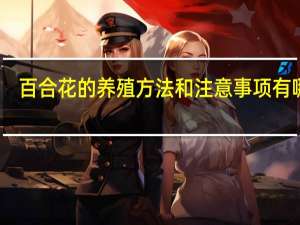 百合花的养殖方法和注意事项有哪些