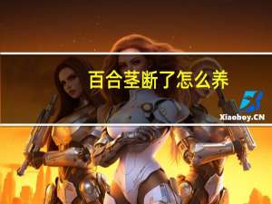 百合茎断了怎么养