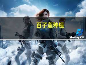 百子莲种植：性喜温暖湿润