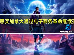 百思买加拿大通过电子商务革命继续蓬勃发展