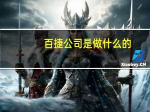 百捷公司是做什么的（百捷航空简介）