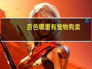百色哪里有宠物狗卖