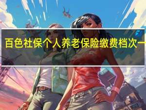 百色社保个人养老保险缴费档次一览表