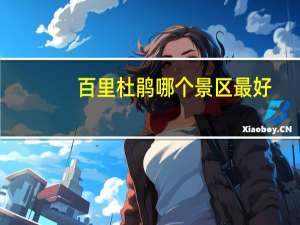 百里杜鹃哪个景区最好