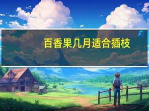 百香果几月适合插枝