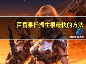 百香果扦插生根最快的方法