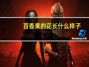 百香果的花长什么样子