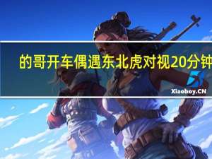 的哥开车偶遇东北虎对视20分钟一（的哥开车偶遇东北虎对视20分钟）