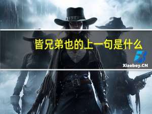 皆兄弟也的上一句是什么