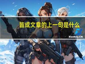 皆成文章的上一句是什么