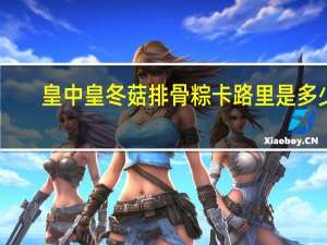 皇中皇 冬菇排骨粽卡路里是多少