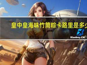 皇中皇 海味竹筒粽卡路里是多少