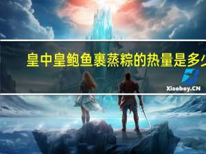 皇中皇 鲍鱼裹蒸粽的热量是多少