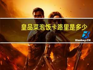 皇品 菜泡饭卡路里是多少