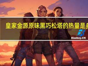 皇家金源 原味黑巧松塔的热量是多少