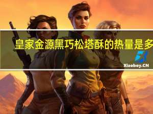 皇家金源 黑巧松塔酥的热量是多少