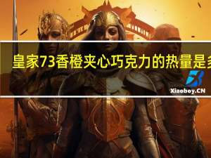 皇家 73%香橙夹心巧克力的热量是多少