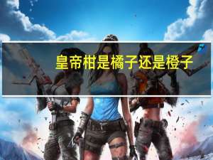 皇帝柑是橘子还是橙子