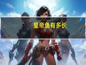 皇帝鱼有多长