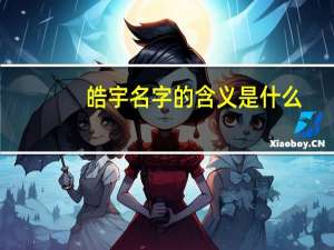 皓宇名字的含义是什么