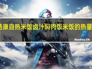 皓康 自热米饭卤汁焖肉饭米饭的热量是多少