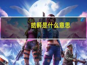 皓簳是什么意思