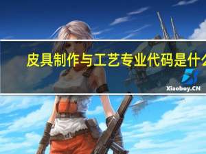 皮具制作与工艺专业代码是什么