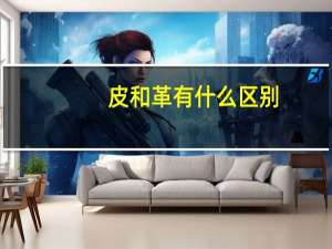 皮和革有什么区别
