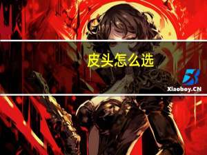 皮头怎么选