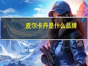 皮尔卡丹是什么品牌