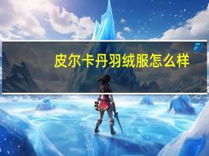 皮尔卡丹羽绒服怎么样
