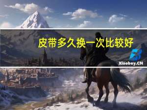 皮带多久换一次比较好