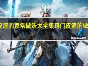 皮渣的家常做法大全集窍门 皮渣的做法大全