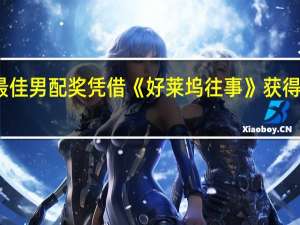 皮特获最佳男配奖 凭借《好莱坞往事》获得最佳男配角奖