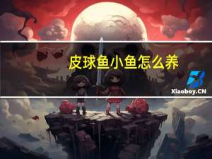 皮球鱼小鱼怎么养