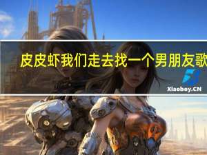 皮皮虾我们走去找一个男朋友歌词（皮皮虾我们走去找一个男朋友）
