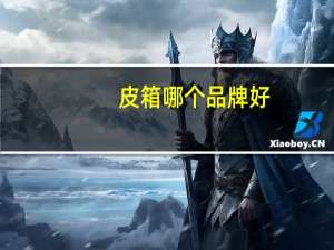 皮箱哪个品牌好