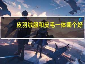 皮羽绒服和皮毛一体哪个好