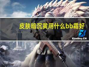 皮肤暗沉黄用什么bb霜好