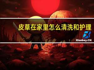 皮草在家里怎么清洗和护理