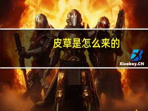 皮草是怎么来的
