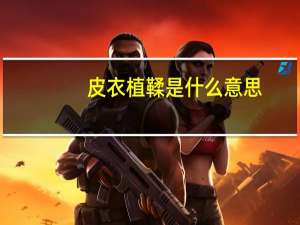皮衣植鞣是什么意思