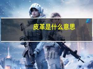 皮革是什么意思