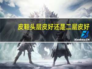 皮鞋头层皮好还是二层皮好