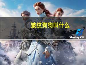 皱纹狗狗叫什么