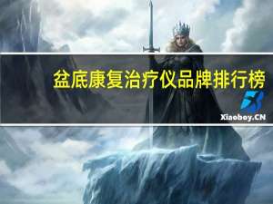 盆底康复治疗仪品牌排行榜（盆底康复治疗仪品牌）