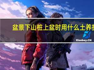 盆景下山桩上盆时用什么土养护