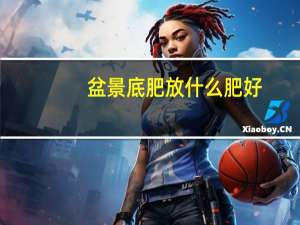 盆景底肥放什么肥好