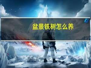 盆景铁树怎么养